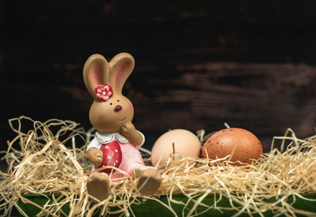 Toy Easter bunny on hey straw nest with organic brown chicken eggs in front of a wooden wall with copy space and room for text. Easter time.
