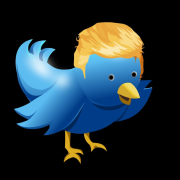 twitter-hairstyle-trump-stockpack-pixabay.jpg twitter, hairstyle, trump