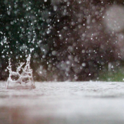 waterdrop-rain-table-stockpack-pixabay.jpg waterdrop, rain, table