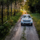 dacia-duster-car-vehicle-stockpack-pixabay.jpg dacia duster, car, vehicle