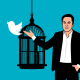 elon-musk-twitter-owner-stockpack-pixabay.png elon musk, twitter, owner