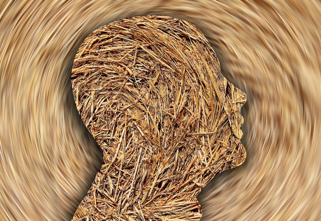 head, straw, ignorance