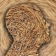 head, straw, ignorance