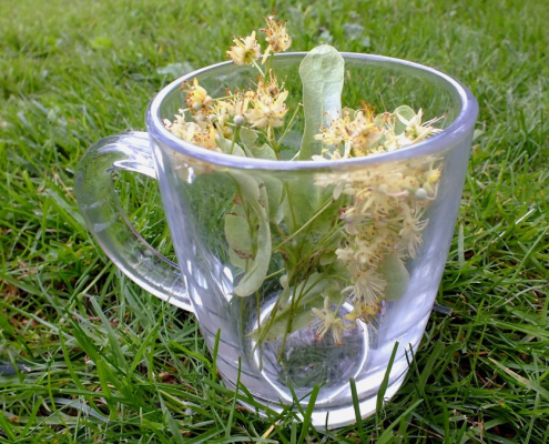 herbs-herbal-tea-linden-flowers-stockpack-pixabay.jpg herbs, herbal tea, linden flowers