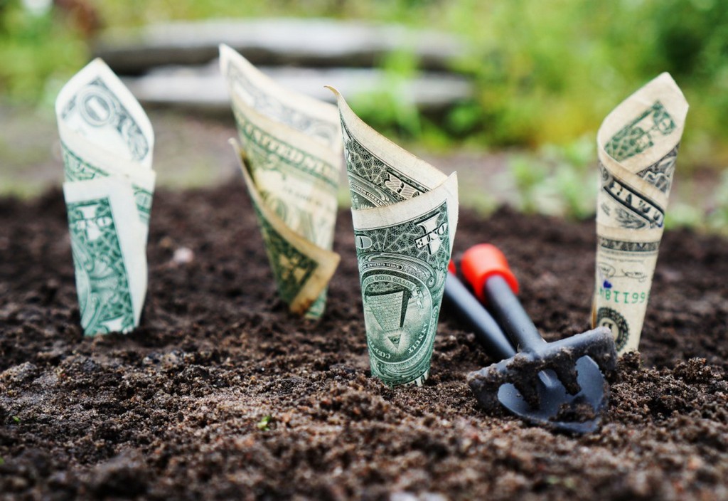 money-grow-interest-stockpack-pixabay.jpg money, grow, interest
