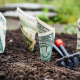 money-grow-interest-stockpack-pixabay.jpg money, grow, interest