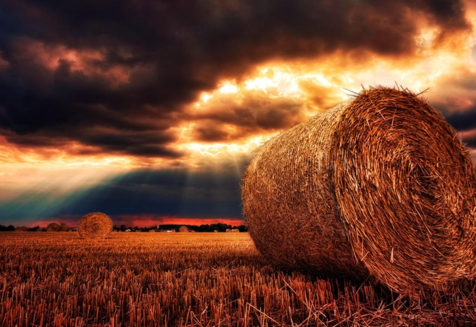 nature, hay bales, straw