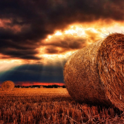 nature-hay-bales-straw-stockpack-pixabay.jpg nature, hay bales, straw