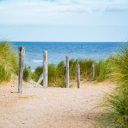 thin-sea-fence-stockpack-pixabay.jpg thin, sea, fence