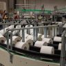 tissue, factory, manufacture