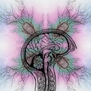 tourette-syndrome-epilepsy-adhd-stockpack-pixabay.jpg tourette syndrome, epilepsy, adhd