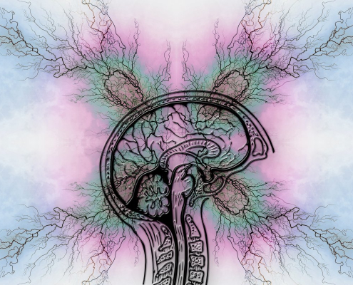 tourette syndrome, epilepsy, adhd