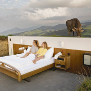Null Stern Hotel Garden Collage Caterina Rancho 10 1000x563