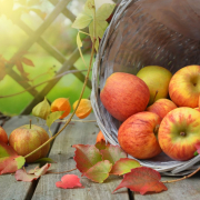 apples-leaves-fall-stockpack-pixabay.jpg apples, leaves, fall