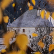 castle, hungary, leaves