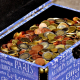 chest, money, collect