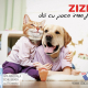 Zizin dacupace-intre-frati Zizin Dacupace Intre Frati