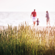 family, beach, vacation