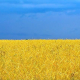 grau ucraina Grau Ucraina