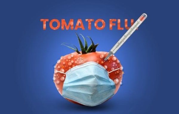 Gripa Tomatelor