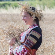 harvest-summer-nature-stockpack-pixabay.jpg harvest, summer, nature