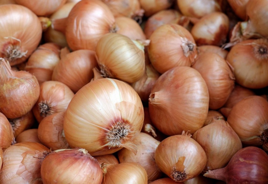 onions-vegetables-white-onions-stockpack-pixabay.jpg onions, vegetables, white onions