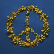 peace-symbol-petals-stockpack-pixabay.jpg peace, symbol, petals