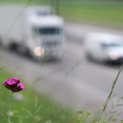 traffic-highway-nature-stockpack-pixabay.jpg traffic, highway, nature