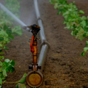 water-sprinkler-irrigation-field-stockpack-pixabay.jpg water sprinkler, irrigation, field