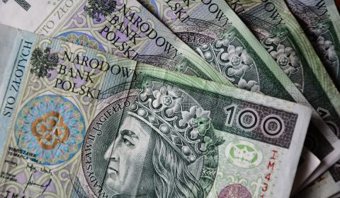 banknotes, polish zloty, currency