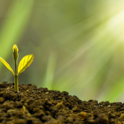 investment-concept-business-stockpack-pixabay.jpg investment, concept, business