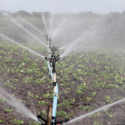 irrigation-agriculture-sprinkle-stockpack-pixabay.jpg irrigation, agriculture, sprinkle