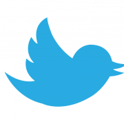 logo-twitter-social-media-stockpack-pixabay.png logo, twitter, social media
