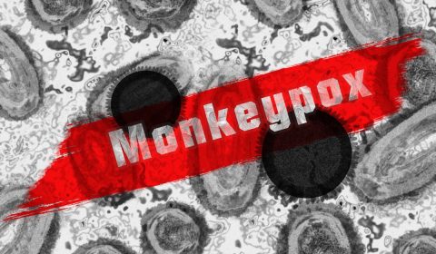 monkey pox, monkeypox virus, virus