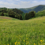 peisaj Romania munte turism vacanta in Romania Apuseni Copyright contactati info@afaceri.news Peisaj Romania Munte Turism Vacanta In Romania Apuseni Copyright Contactati Info@afaceri.news