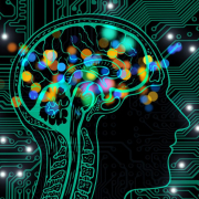 artificial-intelligence-brain-think-stockpack-pixabay.jpg artificial intelligence, brain, think