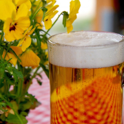 beer-glass-drink-stockpack-pixabay.jpg beer, glass, drink