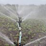 irrigation, agriculture, sprinkle