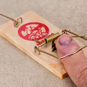 mistake-mouse-trap-foolish-stockpack-pixabay.jpg mistake, mouse trap, foolish