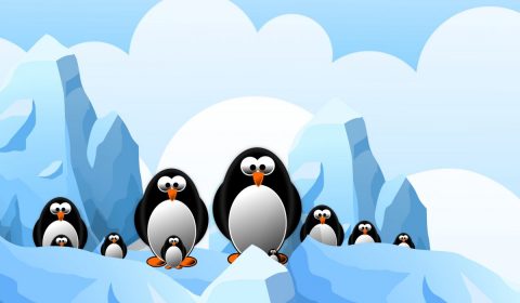 penguin, antarctica, ice