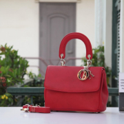 the-bag-dior-good-stockpack-pixabay.jpg the bag, dior, good