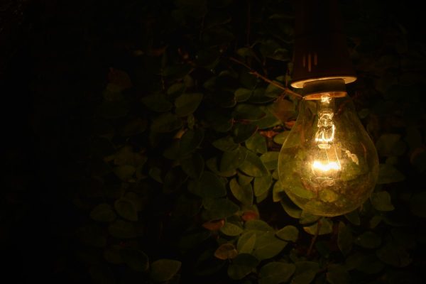 Turned on lamp near green plants