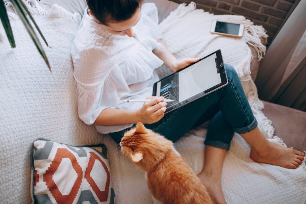 Young female graphic designer using tablet on couch with cute cat