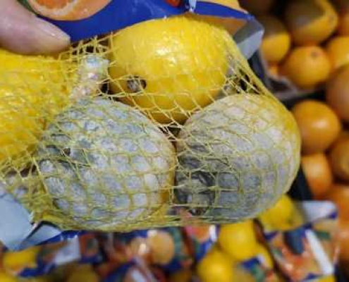 ANPC Penny Anpc Penny