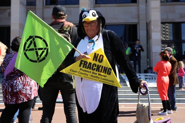 An activist dressed in a penguin suit, holding an extinction rebellion sign and a frack free "no fracking" triangle.