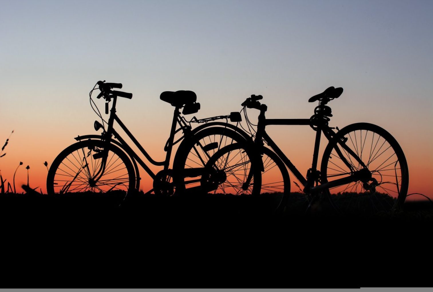 bicycles, wheel, sunset