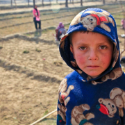 child-boy-cute-stockpack-pixabay.jpg child, boy, cute
