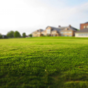 lawn-grass-mowing-stockpack-pixabay.jpg lawn, grass, mowing