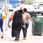 obesity, fat, nutritionist