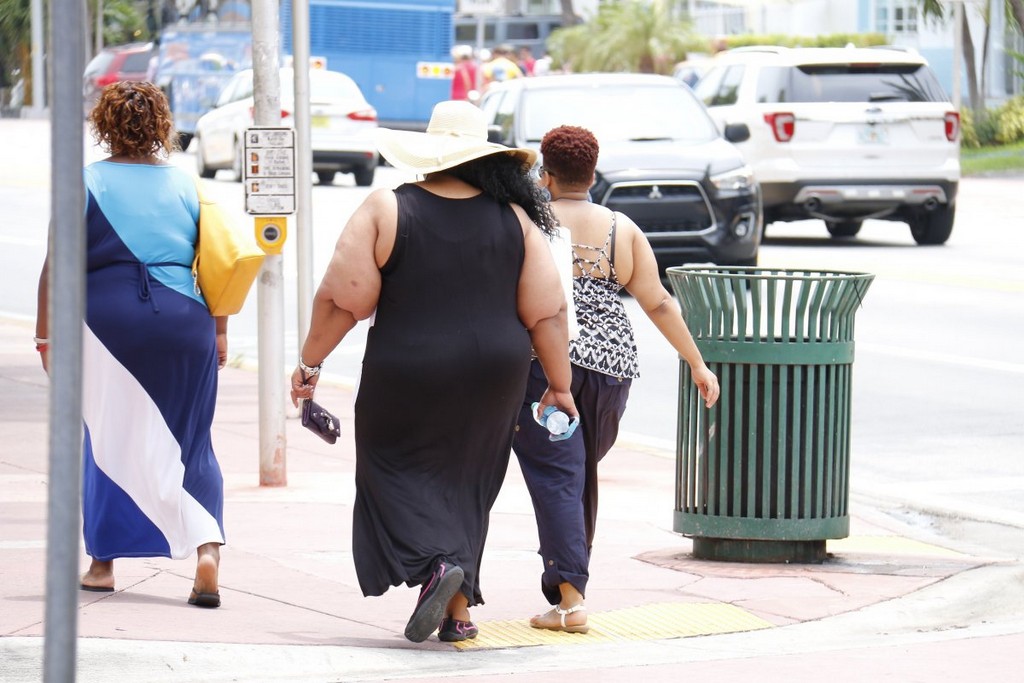 obesity-fat-nutritionist-stockpack-pixabay.jpg obesity, fat, nutritionist